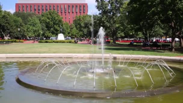 Fonte no parque verde de Washington — Vídeo de Stock