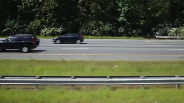 在树林的路上一辆车快速运动 — 图库视频影像