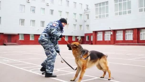Polizistin mit Schäferhund bei der Polizei — Stockvideo