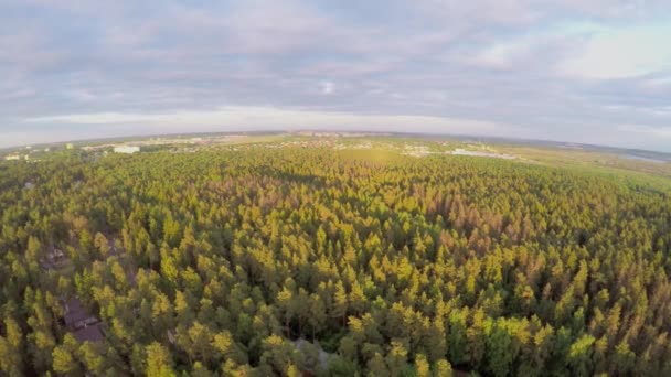 Erdő és a város a láthatáron — Stock videók