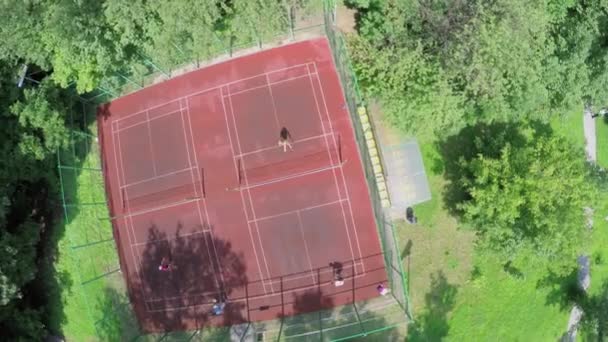 Familie spelen badminton op speelplaats in het park — Stockvideo