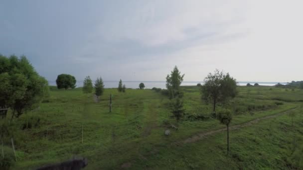 Травяное поле на берегу озера Плещеево — стоковое видео