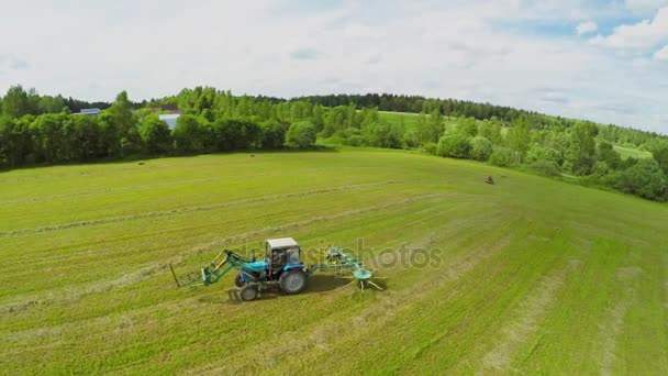 Trator coleta feno no campo de grama — Vídeo de Stock