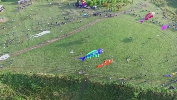 大勢の人がフィールドで凧を起動 — ストック動画