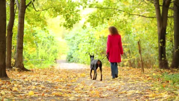 Счастливая женщина гуляет с собакой в парке — стоковое видео