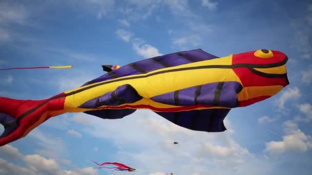 Skyhöga kite Big fish i himlen — Stockvideo