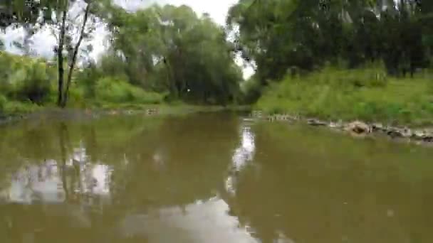 Rio Yauza cercado por árvores — Vídeo de Stock