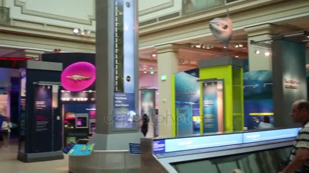 Menschen im nationalen Naturkundemuseum in Washington — Stockvideo