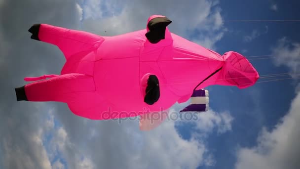 Kite groot roze varken in blauwe hemel — Stockvideo