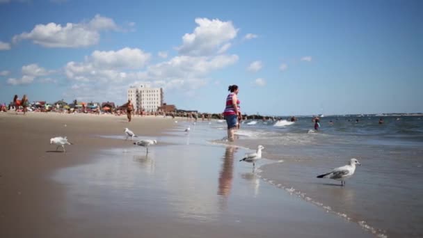 Möwen und ruhende Menschen an der Küste am Strand in Meeresnähe — Stockvideo