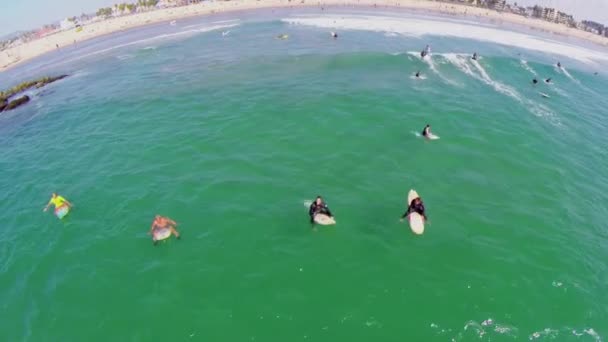 Surfaři si zábavu ve vodě — Stock video