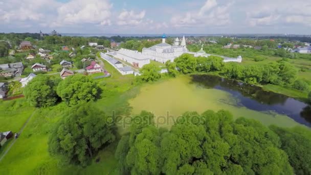 Saint Trinity Danilov manastır ve Köyü yakınında bitkiler arasında gölet — Stok video