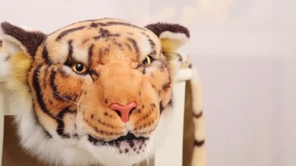 Tvrdá hlava měkké kostým tygr — Stock video