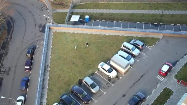 Man plays with dog on grassy area in courtyard — Stock Video