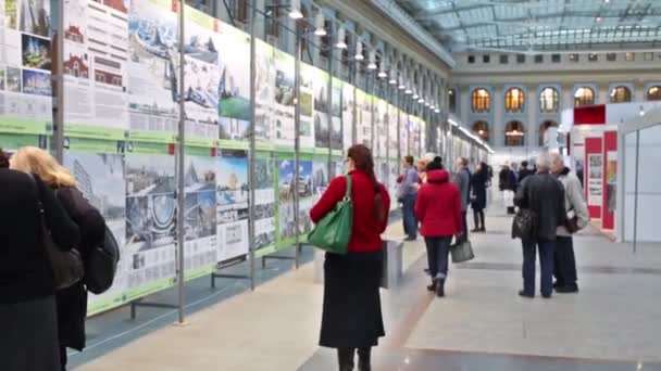 Ausstellungsbesucher blicken auf den Berg — Stockvideo