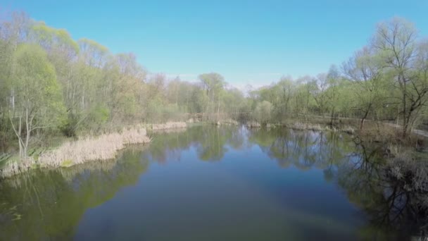 Rückstau Des Yauza Flusses Und Holzbrücke Zwischen Pflanzen — Stockvideo
