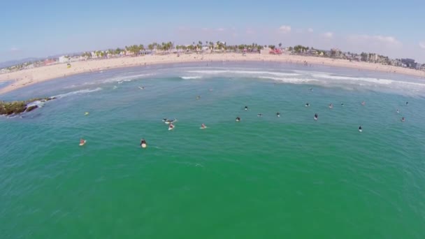 Les surfeurs attendent la vague dans l'océan — Video