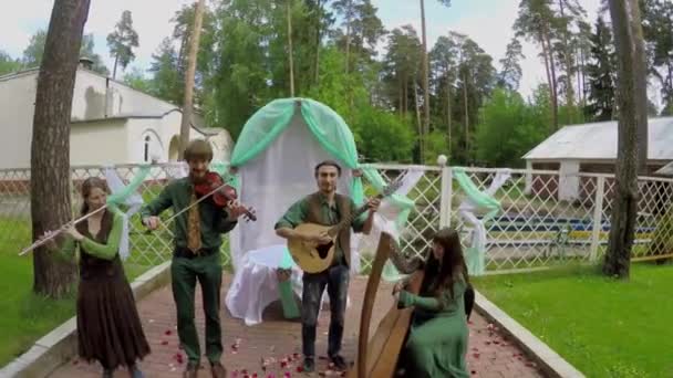 Mensen van band Polca een Ri speelt muziek in bos — Stockvideo