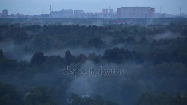 Fog over the park near a residential area — Stock Video