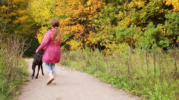 Fille marche avec son chien dans la forêt — Video