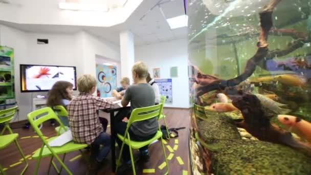 Barn som sitter i klassrummet bredvid aquarium — Stockvideo