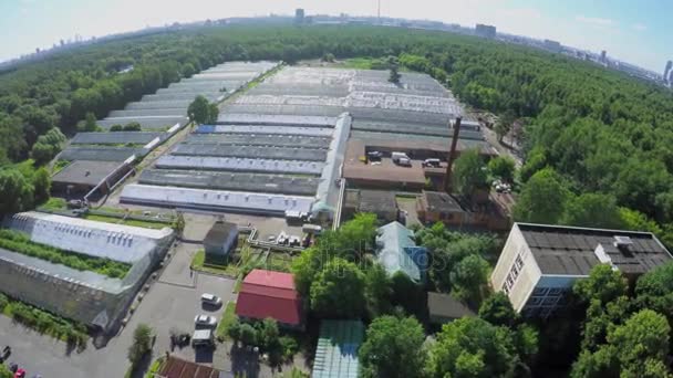 Viele Gewächshäuser unter Bäumen im Sokolniki-Park — Stockvideo