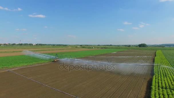 Campo de fazenda durante molhar no dia ensolarado — Vídeo de Stock