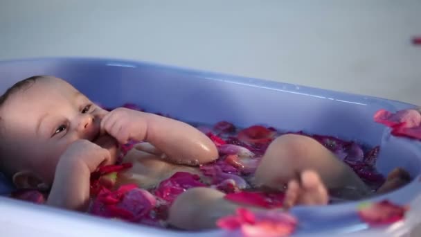 Mooie Vrolijke Baby Ligt Een Badkuip Met Schuim Rose Bloemblaadjes — Stockvideo
