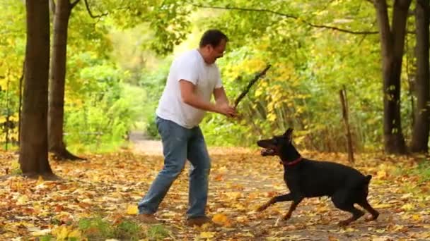 Man leker med sin hund i parken — Stockvideo