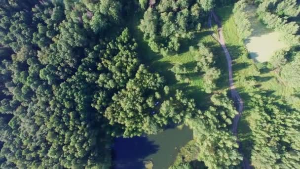 Автомобіль серед дерев біля невеликого озера — стокове відео