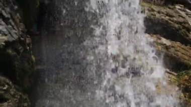 güzel taze şelale yaz Park