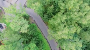 Parça ağaçları arasında yarış 