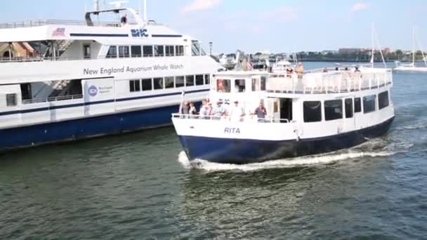 Touristenschiff im Hafen von Boston — Stockvideo