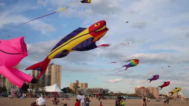 Många drakar på årliga internationella Kite Festival på stranden — Stockvideo
