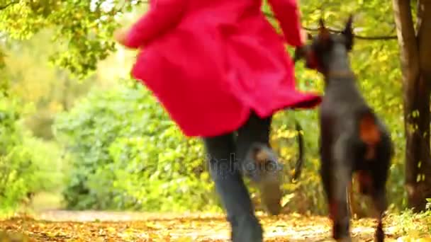 Donna che corre con cane nel parco autunnale — Video Stock