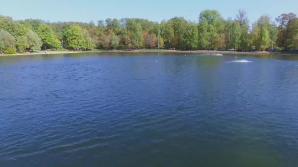 Compétition de modèles de bateaux sur étang dans jardin — Video