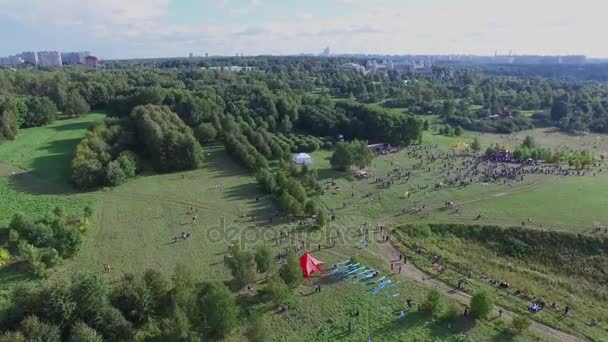 Multitud de personas en el campo de hierba durante el festival de cometas — Vídeo de stock