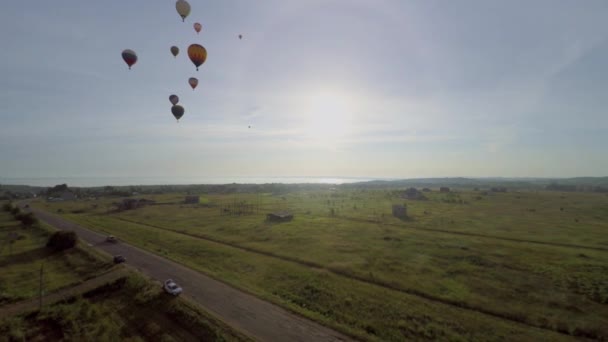 Bunte Luftballons fliegen über Felder — Stockvideo