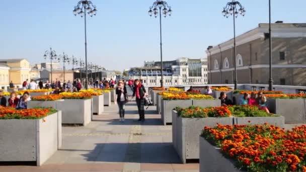 Люди ходят по Патриаршему мосту в Москве — стоковое видео