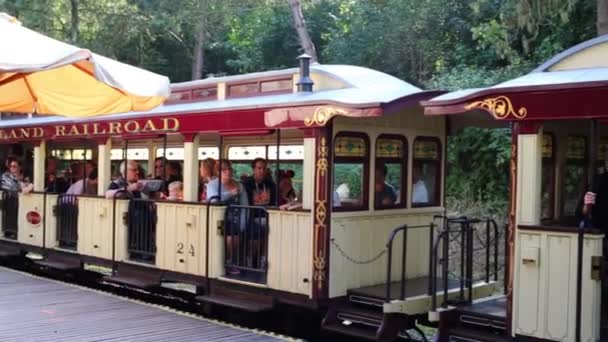 Mensen zitten in kleine trein in Disneyland — Stockvideo