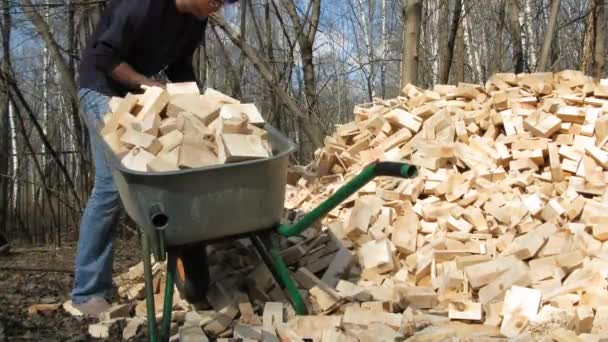 Man filling wheelbarrow with brick — Stock Video
