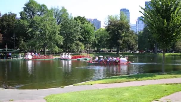 Boote auf teich in boston public garden — Stockvideo