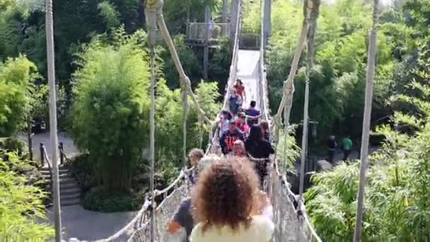 People on suspended bridge in Adventureland of Disneyland — Stock Video