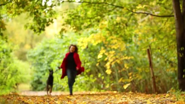 Kadın ile köpek sonbahar Park çalışır — Stok video