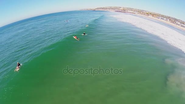 Personnes nageant sur des planches de surf dans l'océan Pacifique — Video