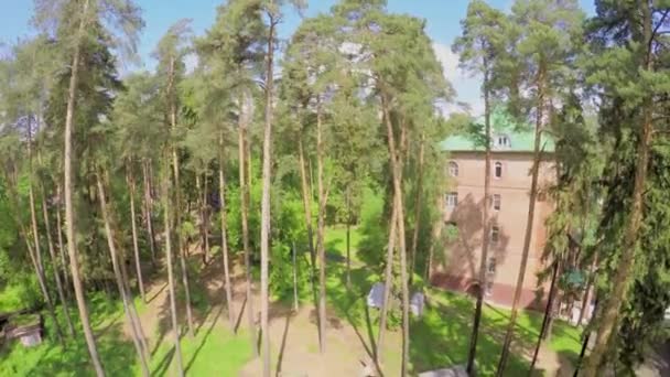 Territorium av Malakhovka semesterort bland skog — Stockvideo