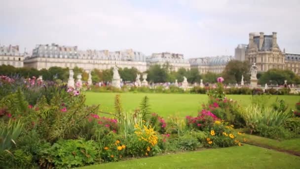 Сад Тюїльрі недалеко від Лувру — стокове відео