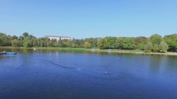 Racing of toy ships on pond in park — Stock Video