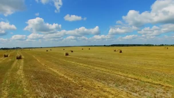Пейзаж с рулонами сена на поле — стоковое видео