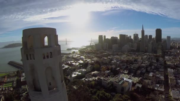Stadsbilden med Coit Tower på solig dag — Stockvideo